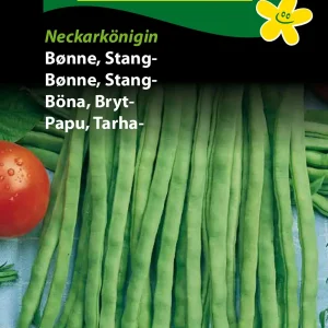Bønne, Stang-, Neckarkönigin ( C) 1228