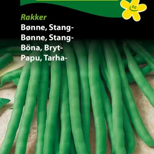 Bønne, Stang-, Rakker (F) 1231