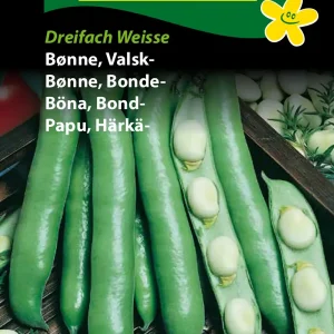 Bønne, Valsk-, Dreifach Weisse ( C) 1232
