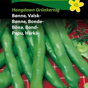 Bønne, Valsk-, Hangdown Grünkernig ( C) 1233