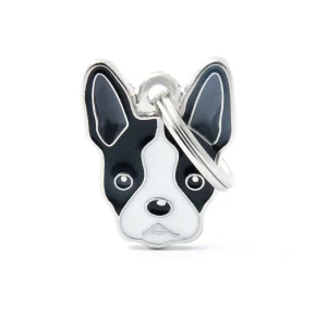 Boston Terrier