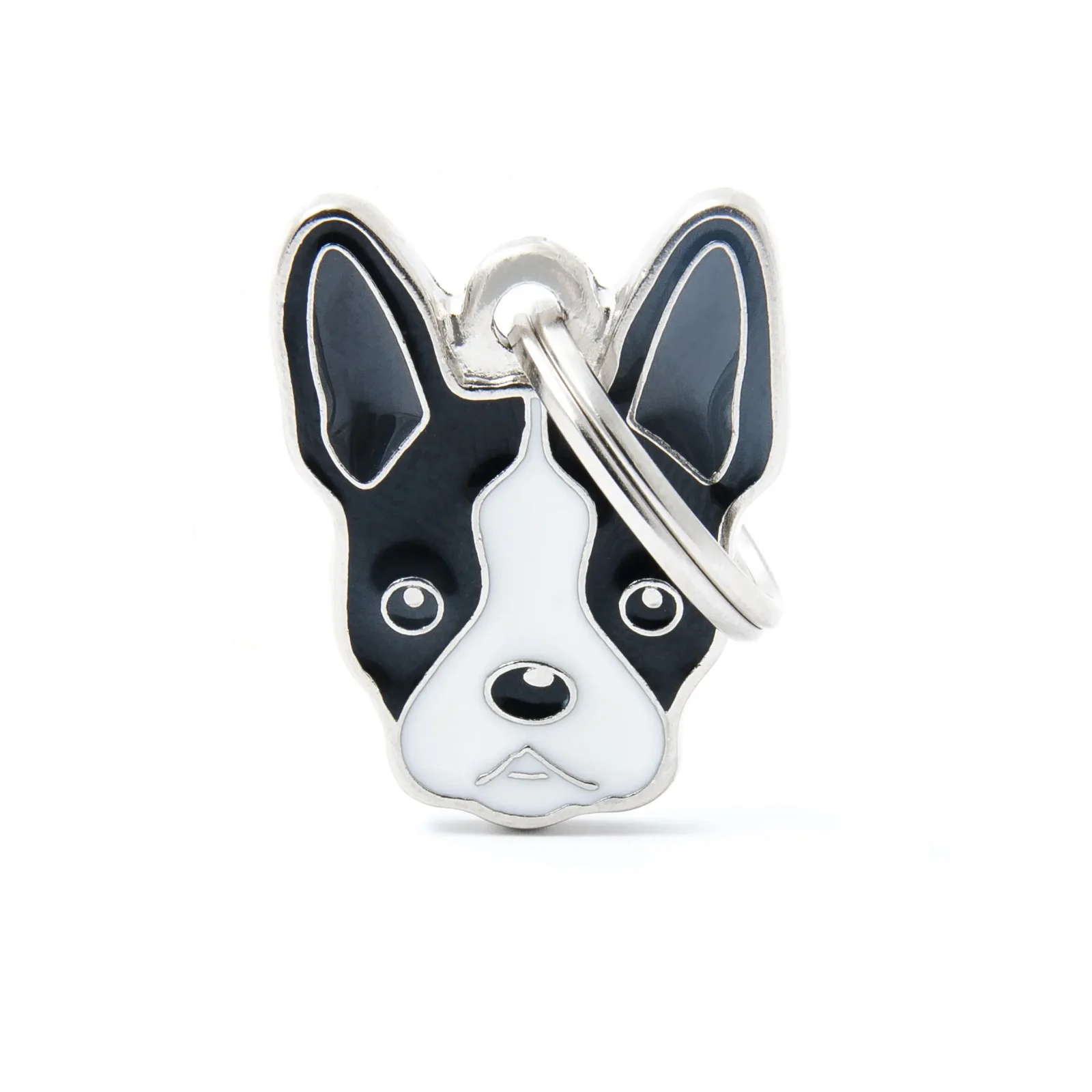 Boston Terrier