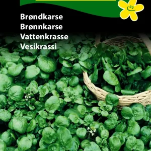 Brøndkarse ( C) 1104
