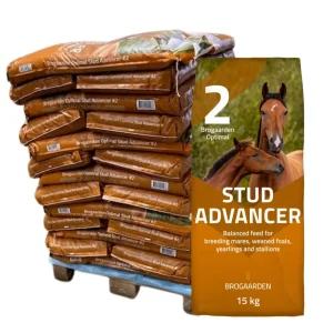 Brogaarden Optimal 2 Stud Advancer HEL PALLE leveret