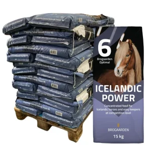 Brogaarden Optimal 6 Icelandic Power – HEL PALLE leveret