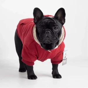 Canada Pooch Cozy Hætte Sweaters En Lækker Hættetrøje RED