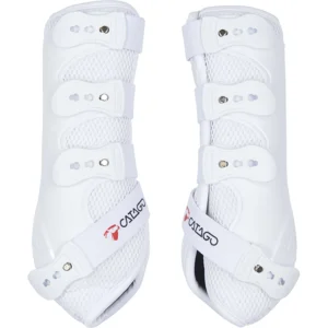 CATAGO FIR-Tech dressur gamacher