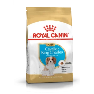 Cavalier King Charles Puppy 1,5 kg