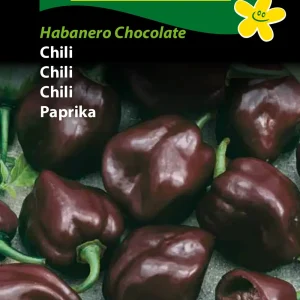 Chili, Habanero Chocolate (F) 1378