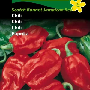 Chili, Scotch Bonnet Jamaican Red (D) 1380