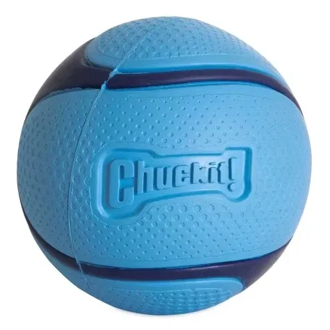 Chuckit Sniff fetch bold blå m. Bacon duft 1pk M