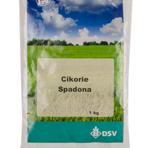Cikorie – 1 kg