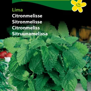 Citronmelisse, Lima (D) 1134