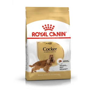 Cocker Adult