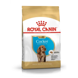 Cocker Puppy 3 kg
