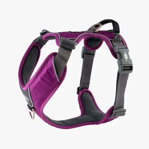 Comfort Walk Pro sele Purple-Passion