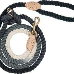 Companion – Hundesnor i Reb & Læder