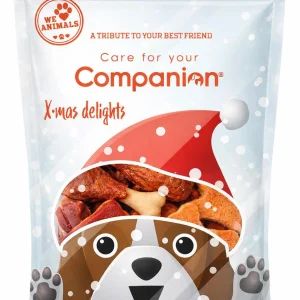 Companion X