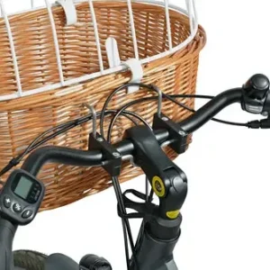 Cykelkurv m/gitter Front op til 5 kg 53x46x36 cm piletræ