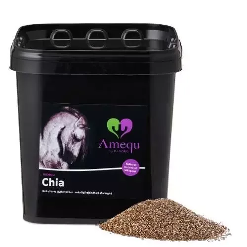 Dangro Chia 2,5 kg