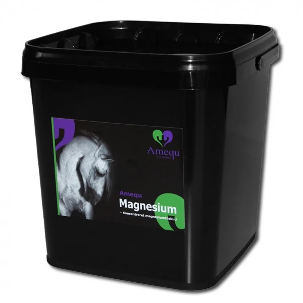Dangro Magnesium - Image 2
