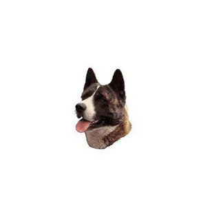 Dekal American Akita Brindle 2stk. - Image 2