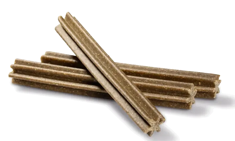 Dental Care Sticks Large mint 28 stk 4x270 g - Image 2