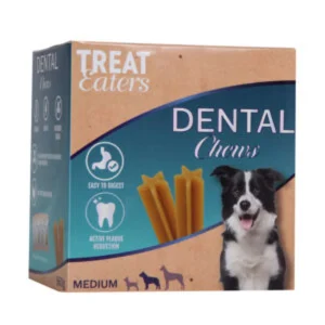 Dental Sticks box ( 7×4 ) 560g