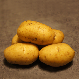 Ditta læggekartofler – 1,5 kg.