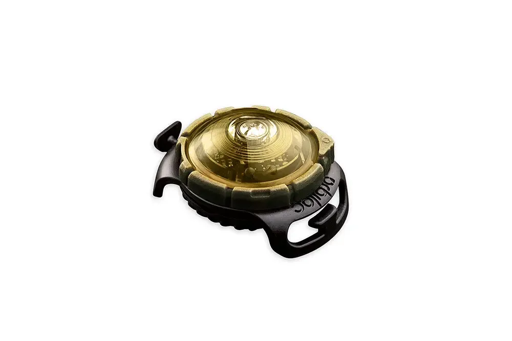 Dog Dual Lygte 48x30x24 mm guld