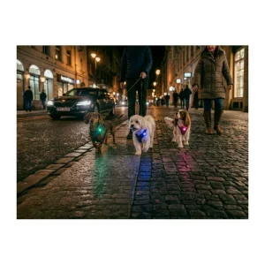 Dog Safety Light MINI Rosa