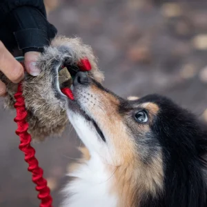 Doggie-Zen belønningslegetøj med godbidspung og kanin