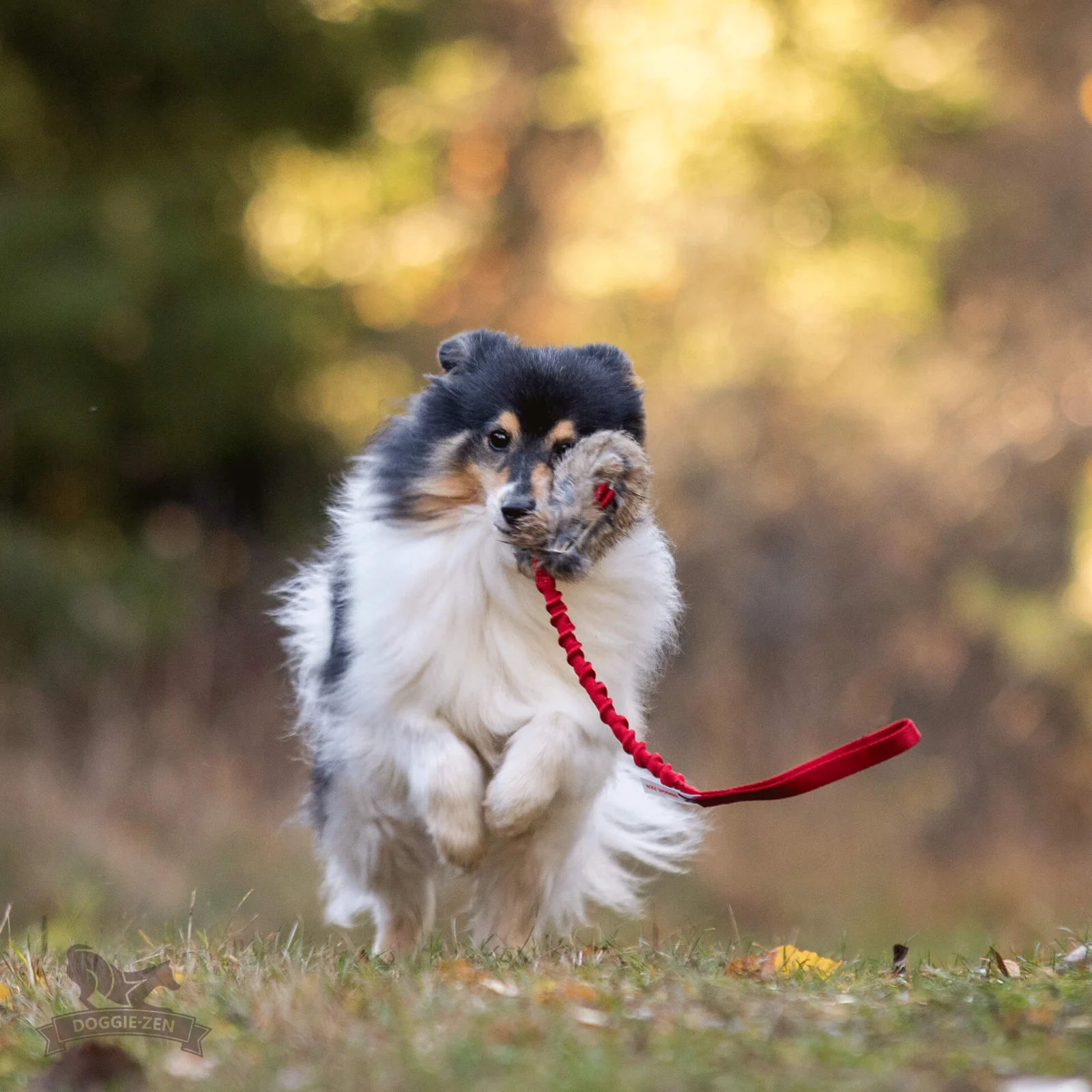 Doggie-Zen belønningslegetøj med godbidspung og kanin - Image 2