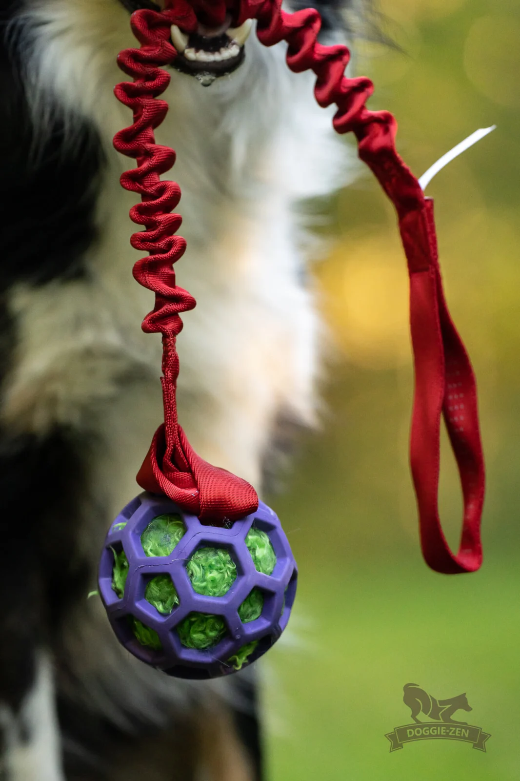 Doggie-Zen Forlængerhåndtag til legetøj – 60 cm m/bungy - Image 2