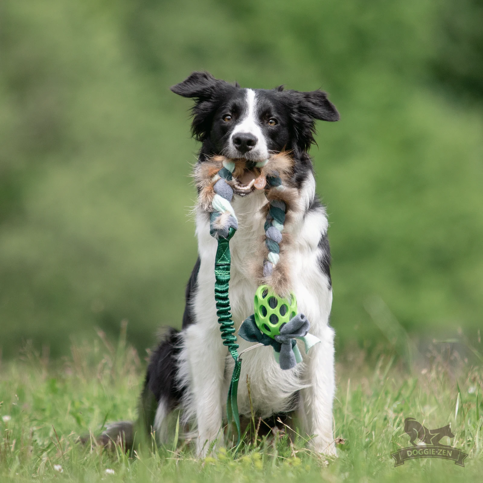 Doggie-Zen Hol-ee Fleece og Rævepels