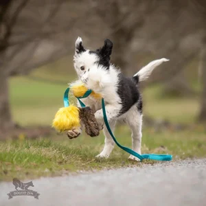 Doggie-Zen hvalpelegetøj
