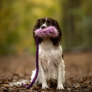 Doggie-Zen legetøj med godbidspung med piv
