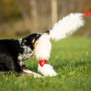 Doggie-Zen legetøj med lammeskind og JW bold