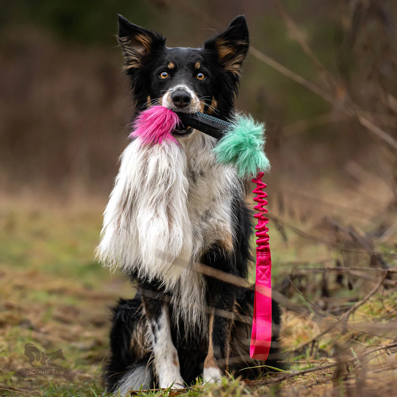Doggie-Zen Octopus legetøj med lammeskind