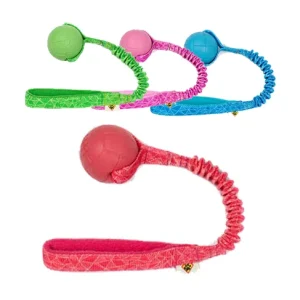 Dog’s Craft Hoko Basic