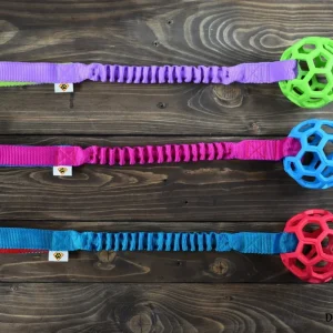 Dog’s Craft Hollee Basic