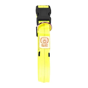 Duvo+ Flash LED Hunde Halsbånd med USB Oplader