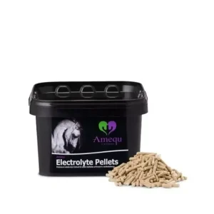 Electrolyte Pellets