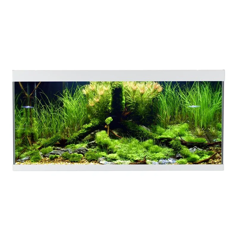 ELEMENT akvarium - Image 2