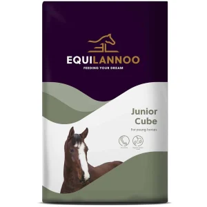 EQL Junior Cube