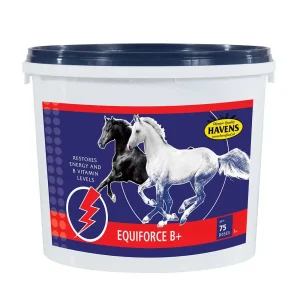 EquiForce B+ 1 kg.