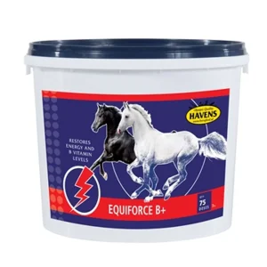 EquiForce B+