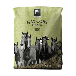 Equsana Hay Cobs Grass 17,5 kg