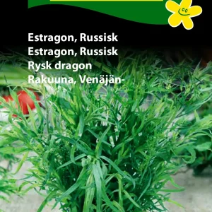 Estragon, Russisk (D) 1135