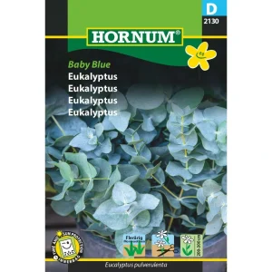 Eukalyptus, Baby Blue (D) 2130